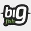 bigfish.hu