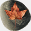 mapleandstone.net