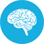 ictuscerebral.com