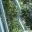 fontainequichante.wordpress.com