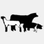 dclivestock.org