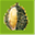 davaorealestate.org