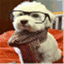 philosophydoggy.wordpress.com