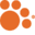 iams.it