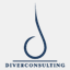 diverconsulting.com