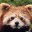 redpanda911.wordpress.com
