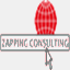 zappingconsulting.com
