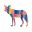 painteddogresearch.com