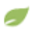 bootea.co.uk