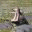 jsabo.info