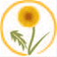 herbalclass.com