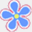 surfacedesign.com