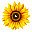 girasol.ch