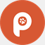pawbo.com