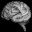 difabilityrad.wordpress.com
