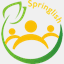 springlish.cn