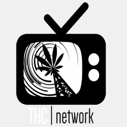 thcnetwork.co