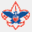 scoutmarshall337.org