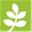 lessence.co