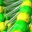 proclonare.wordpress.com