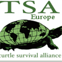 turtlesurvival.eu