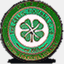 talkceltic.net