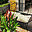 mariadesign.net