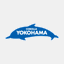 c-yokohama.com