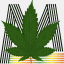 marijuana.tm