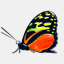 jmaxgraphics.com.au