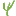 psylos.org