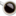 tomfrashak.com