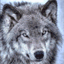 vswolf.net