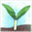 sprout.org