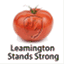leamingtonstandsstrong.ca