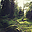 artsynomad.com