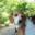 myouchan.com