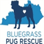 bluegrasspugrescue.org
