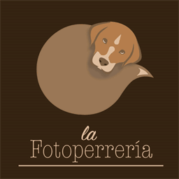 lafotoperreria.com