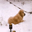 martinlumax.over-blog.com
