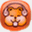 songhamster.com