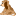 cakedog.com
