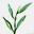 botano.gr