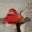 wondrouswrittenworld.wordpress.com
