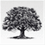 lccofc.org