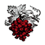 divvino.com