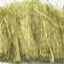kenafprojet2005.over-blog.com