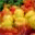 ladlenspoon.com