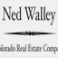 nedwalley.com