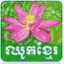 choukhmer.wordpress.com